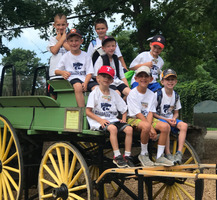 WELLCATS FOR LIFE Camp July 23 Newsletter