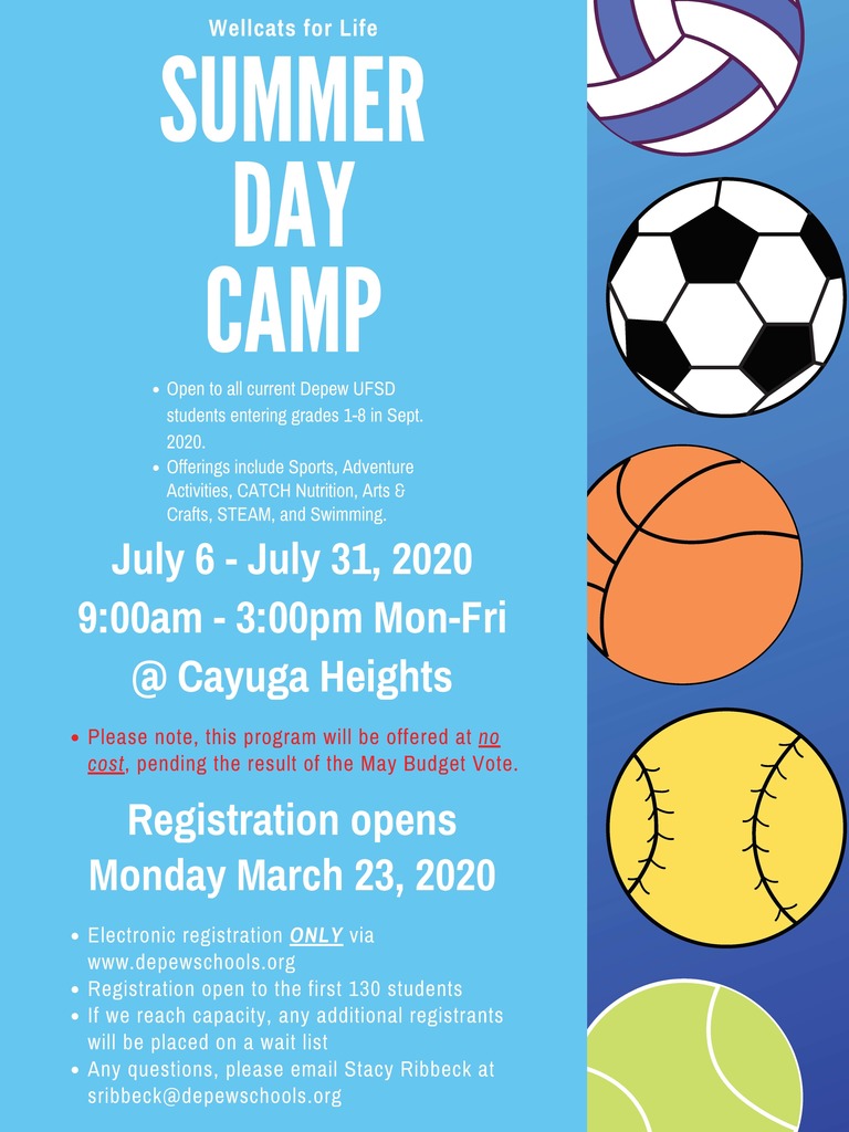 Wellcats for Life Summer Day Camp 2020 Flyer